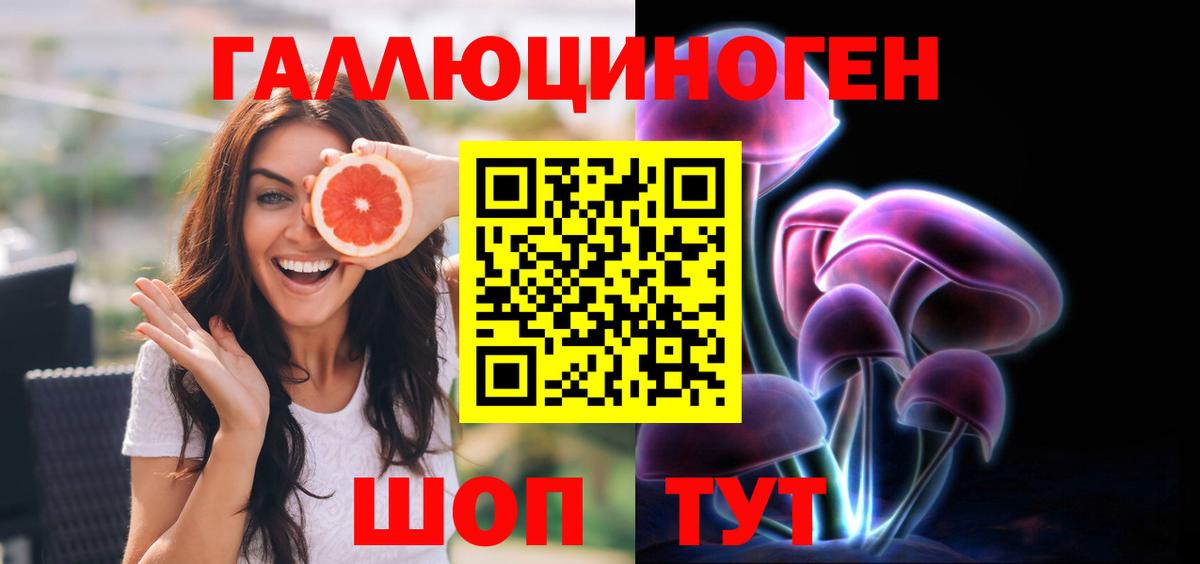 Псилоцибиновые грибы Cubensis  Вход с VPN  Псилоцибиновые грибы Cubensis  Елабуга 